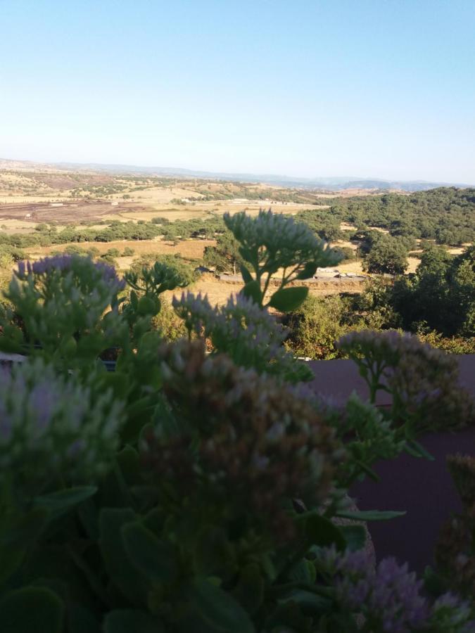 Belli Come Il Sole Serri Экстерьер фото